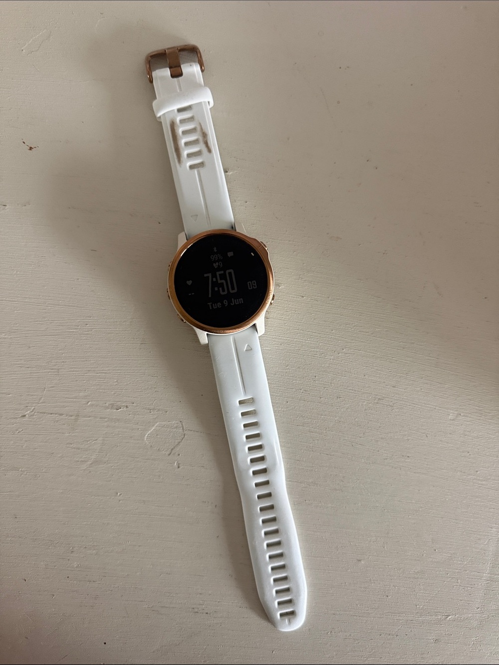 Garmin Fenix 6S Pro